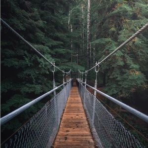 11x14 poster. Bridge across the forest